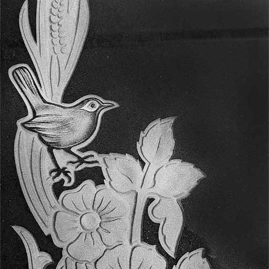 bird